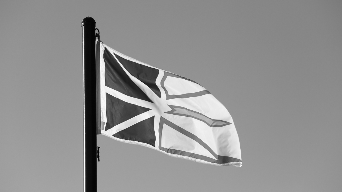 What constitutes fair compensation for expropriation? Our latest Thought Leadership delves into two recent cases from Newfoundland and Labrador that have made a mark on Canadian expropriation law. Our lawyers examine these decisions and their implications. bit.ly/4c2h01f