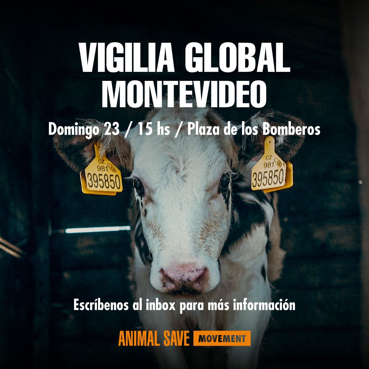 Sé parte de uno de los eventos más grandes y de mayor impacto por los animales este 23 de Junio.

Únete a la vigilia global simultánea este 23 de Junio! Junto a @montevideoanimalsave 💫

🐷Punto de encuentro: Plaza de los bomberos. 
🐮 Hora: 15 horas.

Contamos contigo!