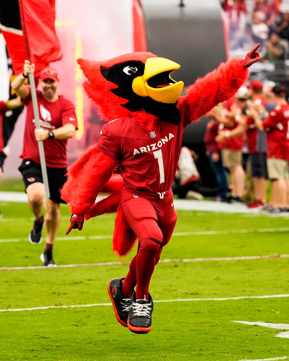 Arizona Cardinals tweet media