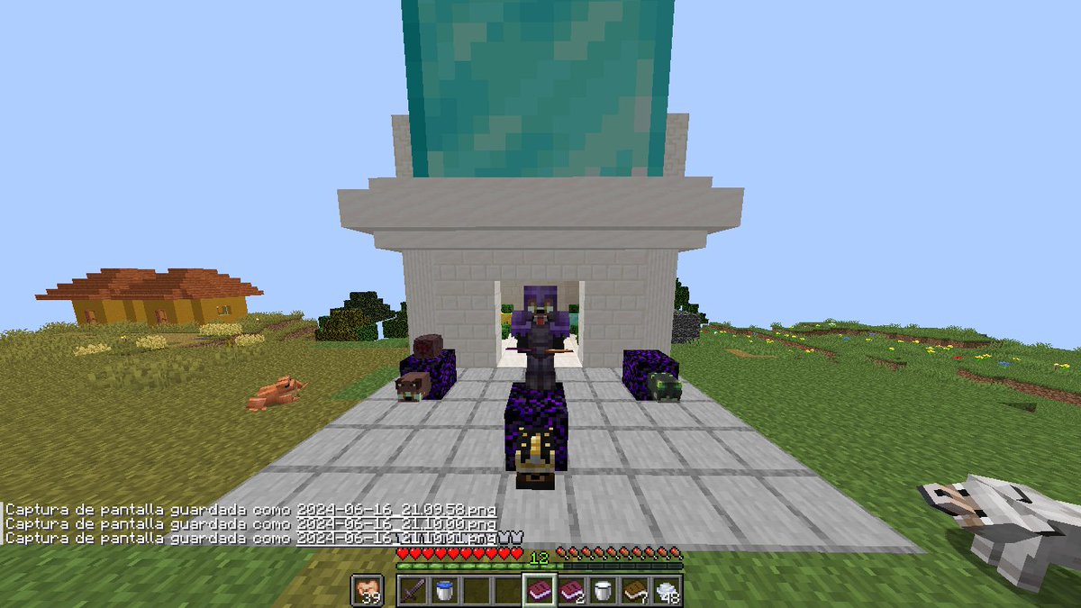 Felipepudin 💫 tweet media