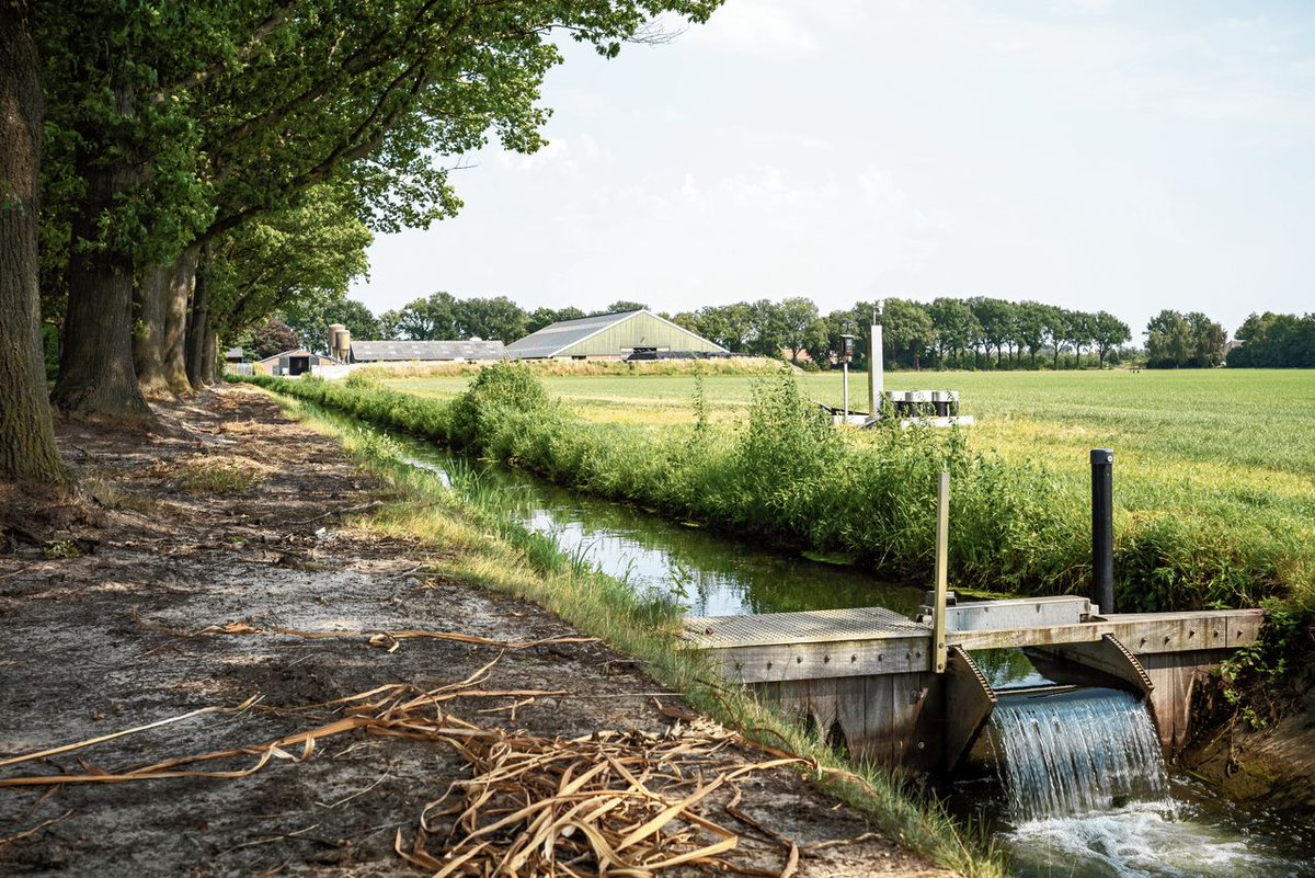 Tegen de democratische wind in, komt er vanuit de EU toch de #natuurherstelwet. 
Iedereen die het hier NIET mee eens is doe een ❤️