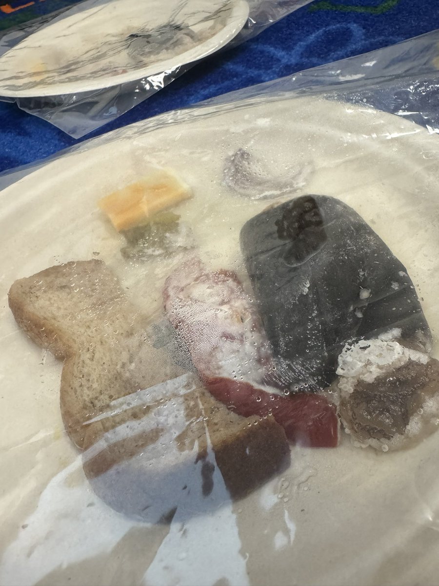 Ms. Parke π€ (@msparkelds) on Twitter photo Big changes happening in science! We noticed the most mold growth in the sugar condition, as well as the one with additional moisture added. The fridge condition never molded just like we thought! <a href="/LDS_mshaines/">Ms. Haines</a> Big changes happening in science! We noticed the most mold growth in the sugar condition, as well as the one with additional moisture added. The fridge condition never molded just like we thought! <a href="/LDS_mshaines/">Ms. Haines</a>