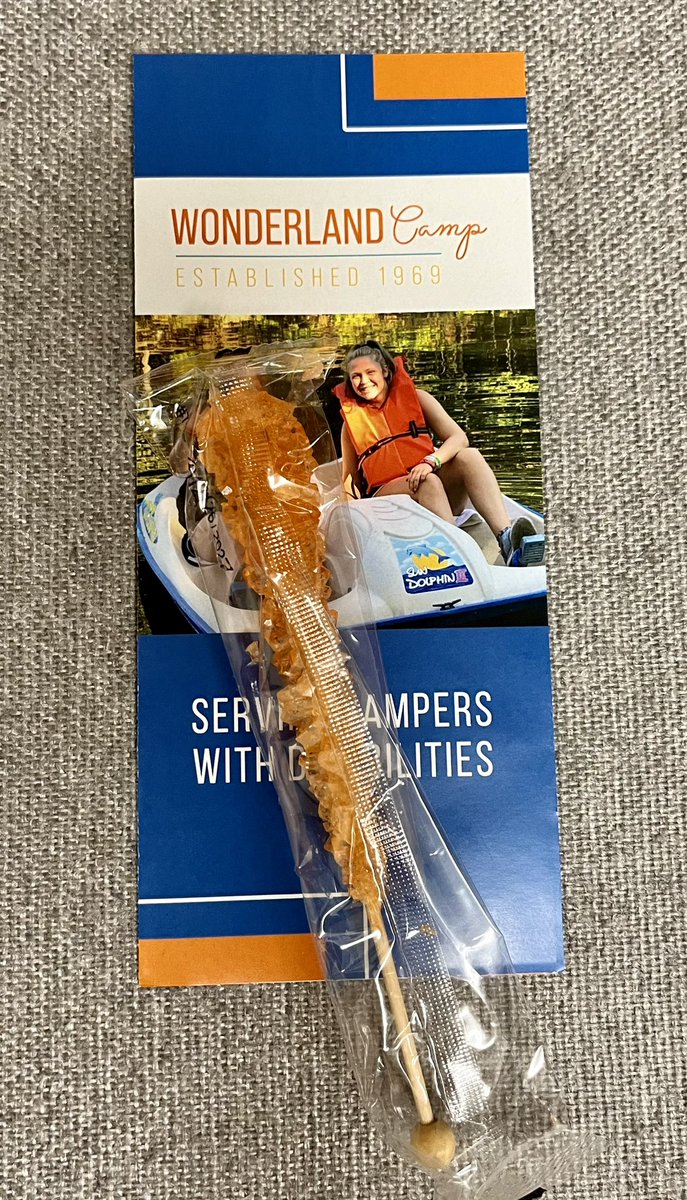 Thanks to Jason Van Houten at Grandma’s Candy Kitchen for donating bags and bags and bags of rock candy to Official Wonderland Camp. It’s a fun treat and orange is one of our favorite colors!