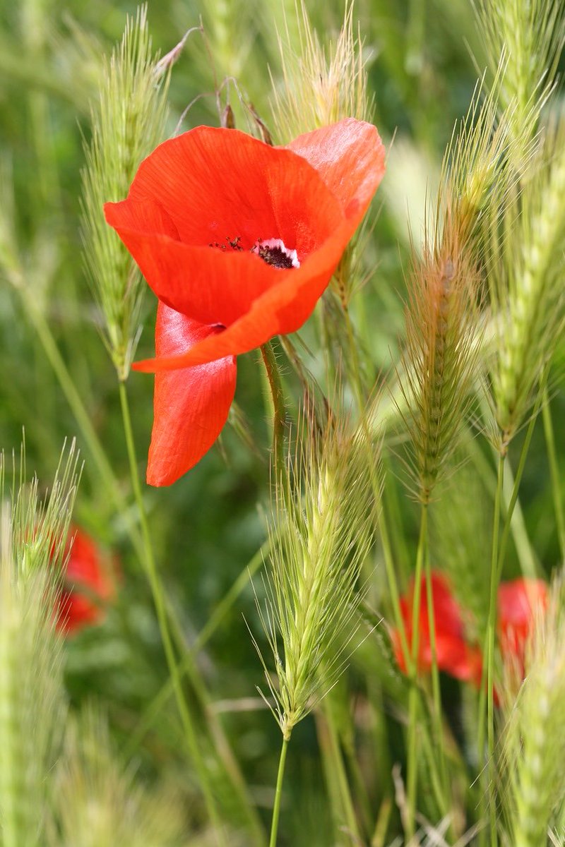 Life is beauty, admire it.
Life is a dream, realize it.
Life is a challenge, meet it…🤍🔶

Life is luck,make it

Life is an adventure….dare it…