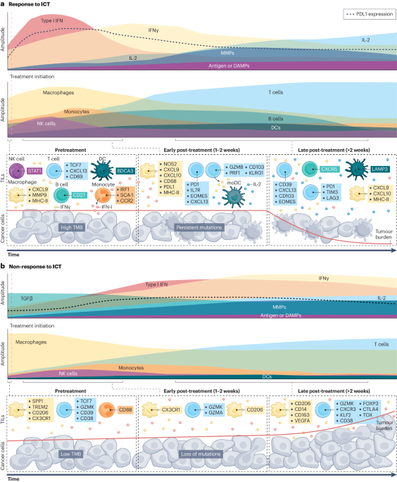 Nature Reviews Cancer (@naturerevcancer) on Twitter photo NEW content online! Exploiting temporal aspects of cancer immunotherapy dlvr.it/T8Q0kd NEW content online! Exploiting temporal aspects of cancer immunotherapy dlvr.it/T8Q0kd