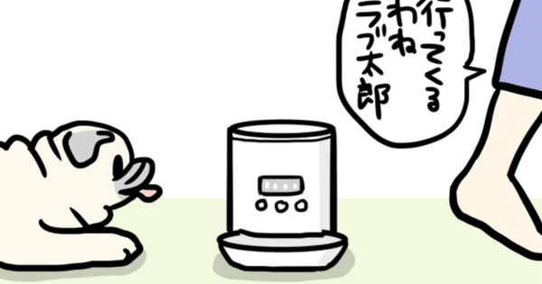 ミスに厳しい営業課長が、唯一甘いジャッジをしてしまうのは……?
よしこ @menglish222 さんの「パグと営業課長」の過去作品はこちらから一気読みできます! #ヤメコミ #犬 #パグ
https://t.co/zovvkHyf5s