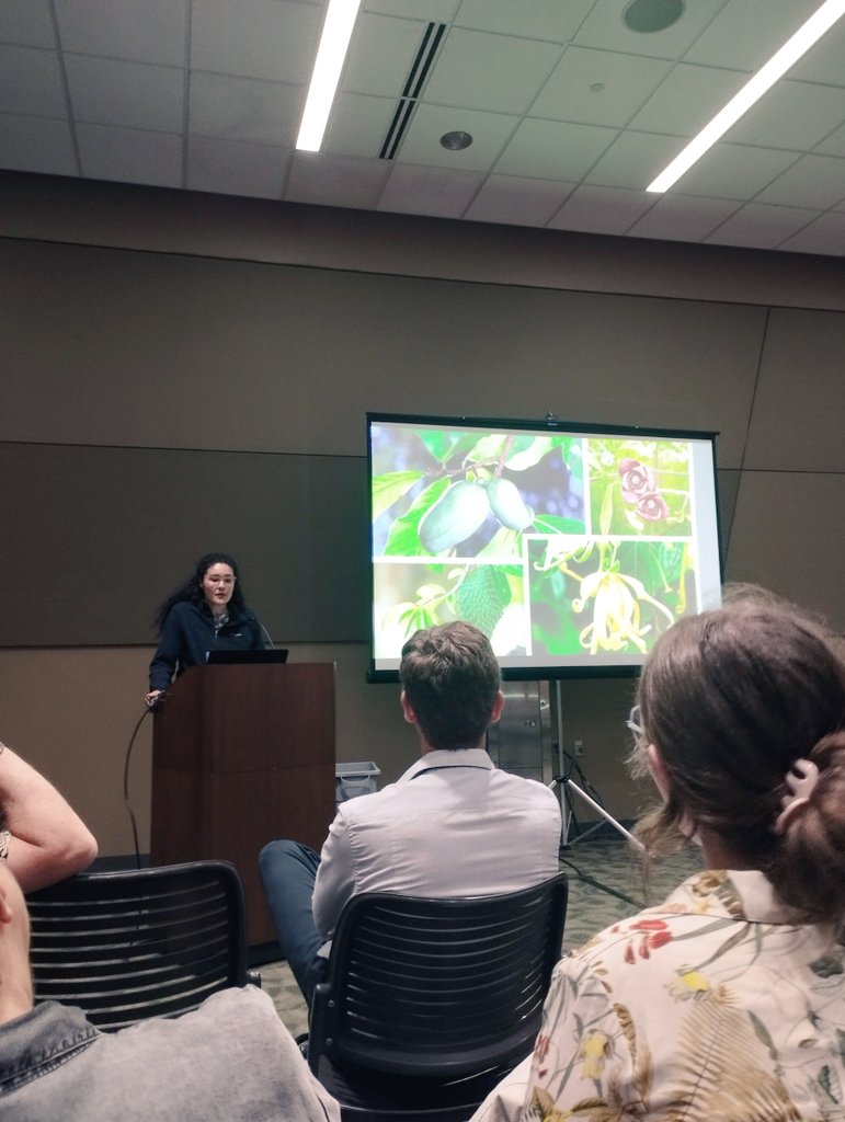 JeniferCLopes's tweet photo. Today I presented our work recently published in @annbot about the biography of a clade in #Annonaceae in the #botany2024 

Below the complete article 👇🏽

https://t.co/GO2CqgmdkO https://t.co/Dfa9uJFQAT