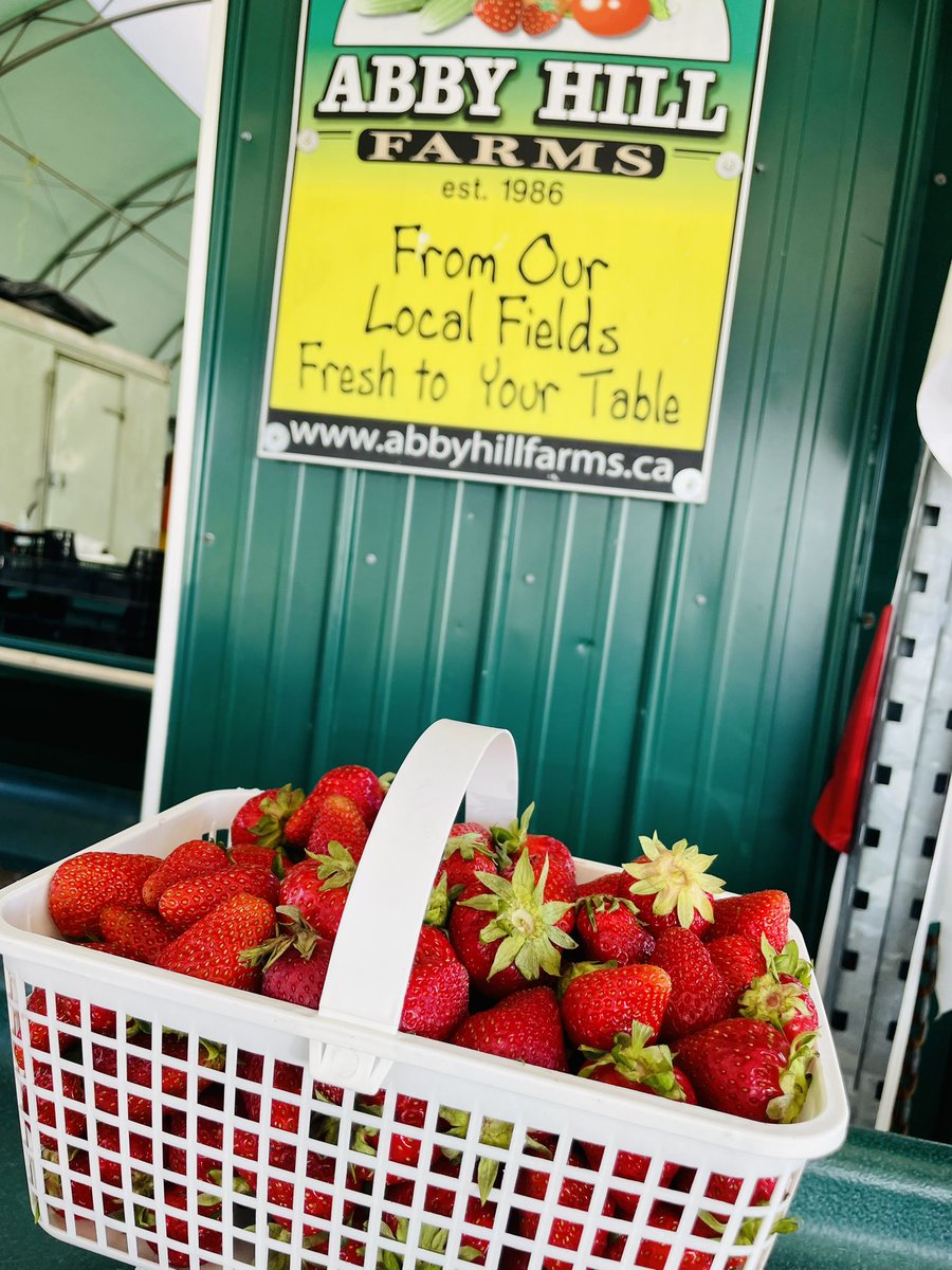 KyraNGillis's tweet image. 🍓🍓🍓so good and fresh 😋 picked today about 3 hours ago‼️#localfarm #ottawa #manotick 
@abbyhillfarms