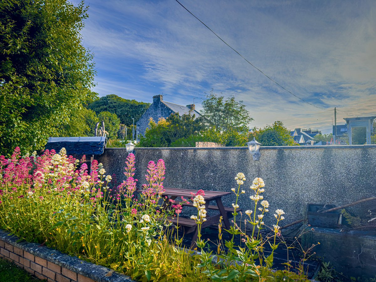 My garden this morning ☺️ #visitcumbrae #islandlife #scottishisland