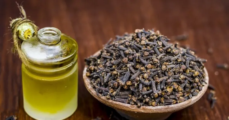 Epey bilimsel makale tarayarak 2-3 yıl önce kendi sivrisinek kovucumuzu yapmaya başladık. 

% ~5-6 karanfil yağı
% ~2 lavanta yağı
% ~2 limon yağı
% ~2 okaliptüs yağı
% ~8-10 gliserin
% ~80 su

Sprey şişesine koyun. Kullanmadan önce çalkalayın.

5-6 saat rahatsınız.+