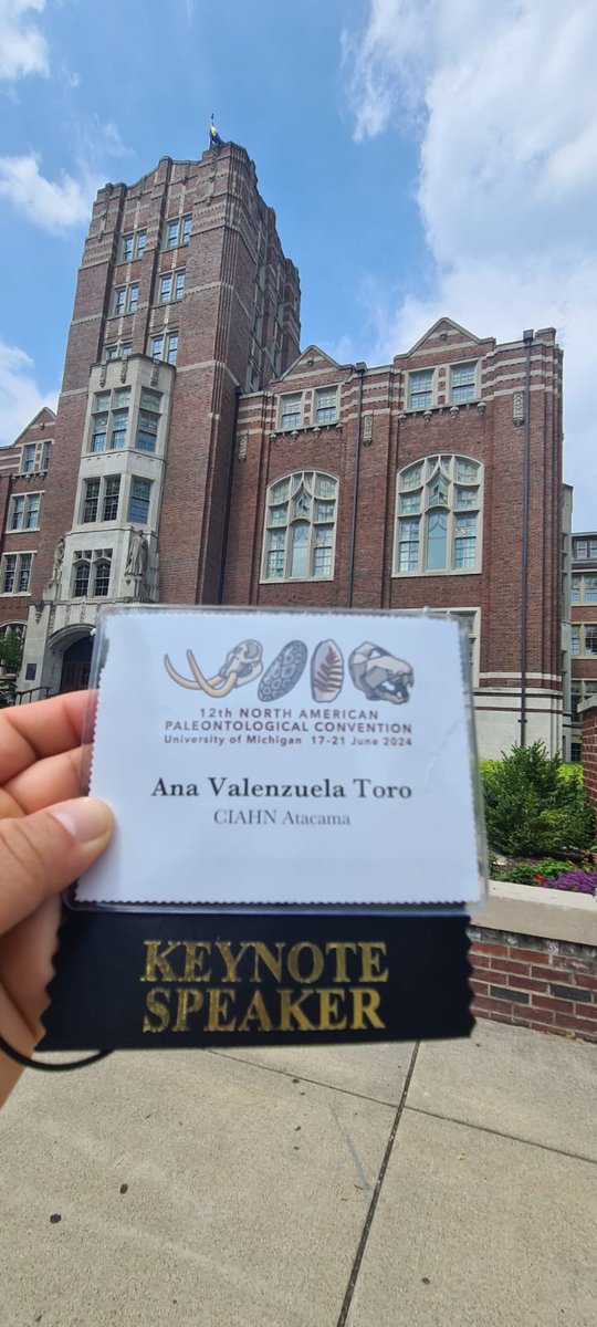 CiahnAtacama's tweet image. Ya estamos aquí!☝🏽🇺🇸
En el inicio de la  #NAPC2024, evento internacional organizado por el Museo de Paleontología de @umichLSA y en el cual expondrá como Key Note Speaker ✨️ @Avalenzuelatoro, con una charla sobre ecología y ecomorfología de los mamíferos carnívoros marinos🦭🌊