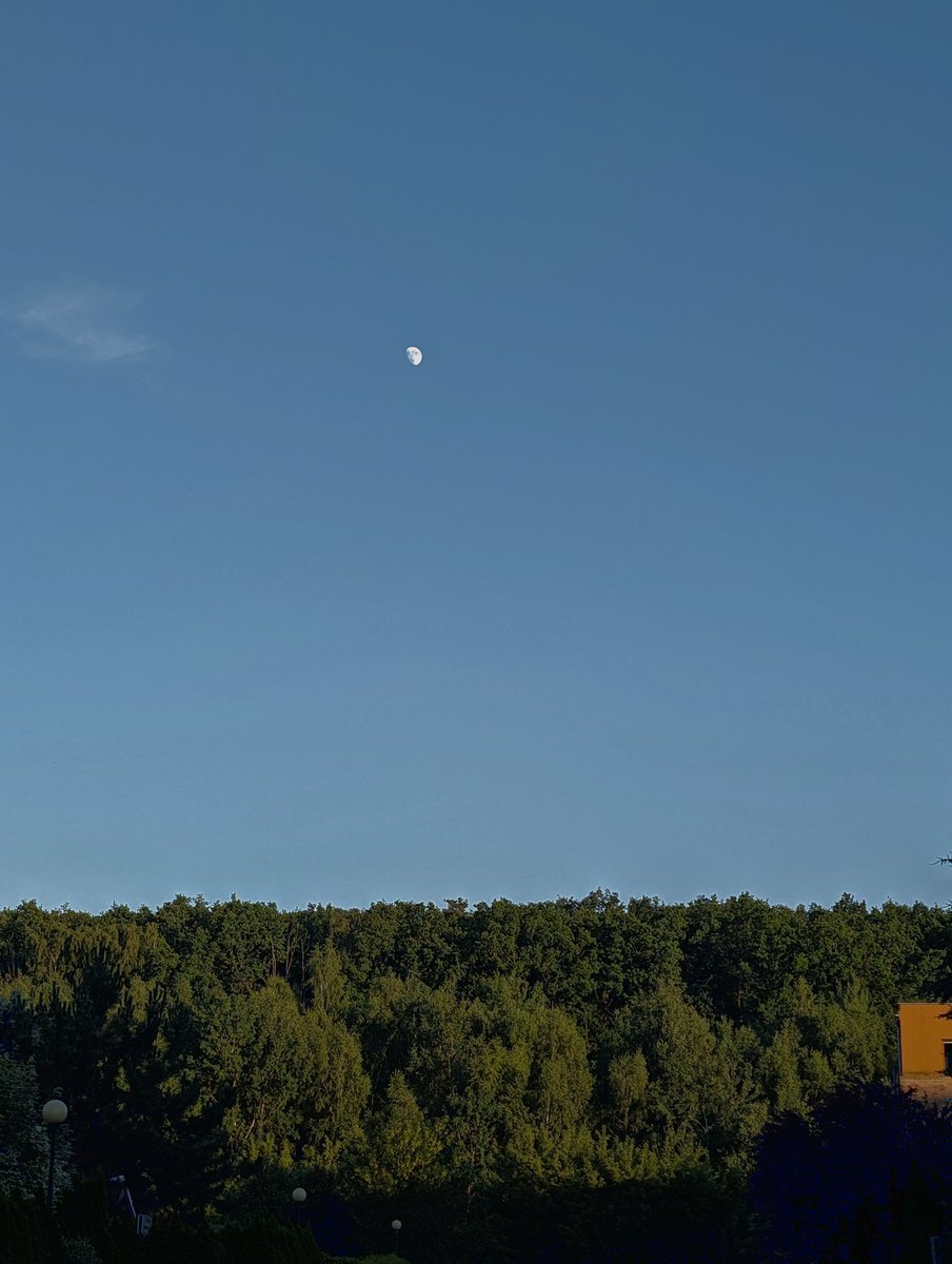 Magslow_74's tweet image. #currentview