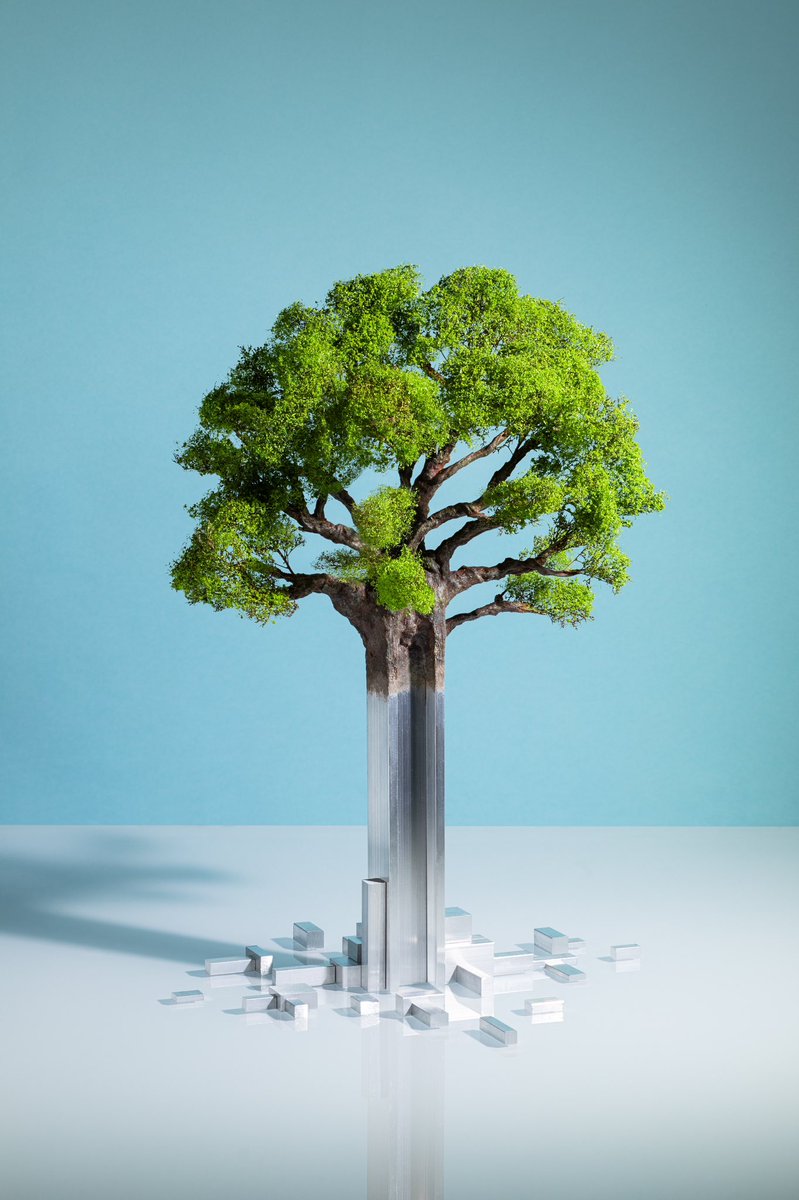 Kyle Bean tweet media