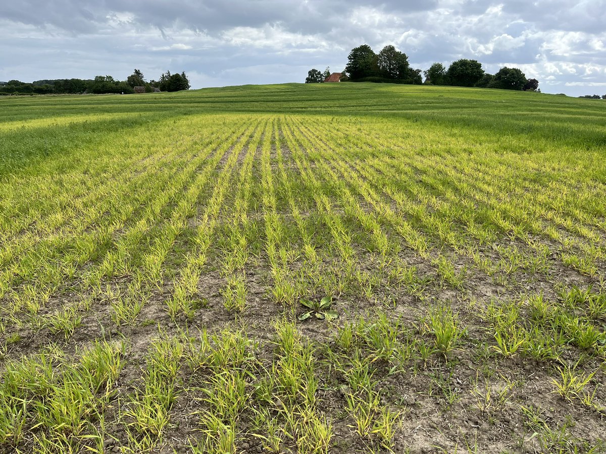 Frederik V. Larsen tweet media