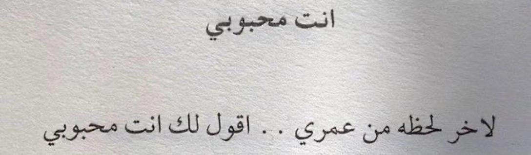K. tweet media