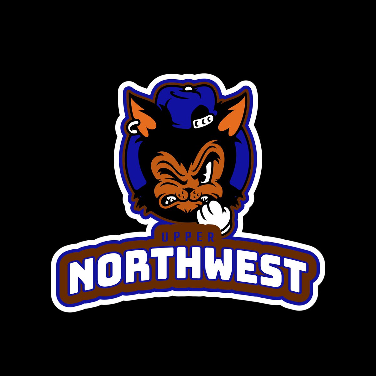 UPPER NORTHWEST tweet media