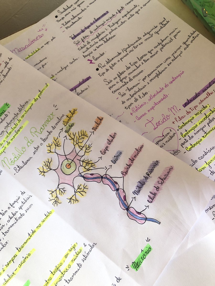 2005studies's tweet image. acaba pelo amor de Deus só mais uma provinha e eu entro de férias 🙏