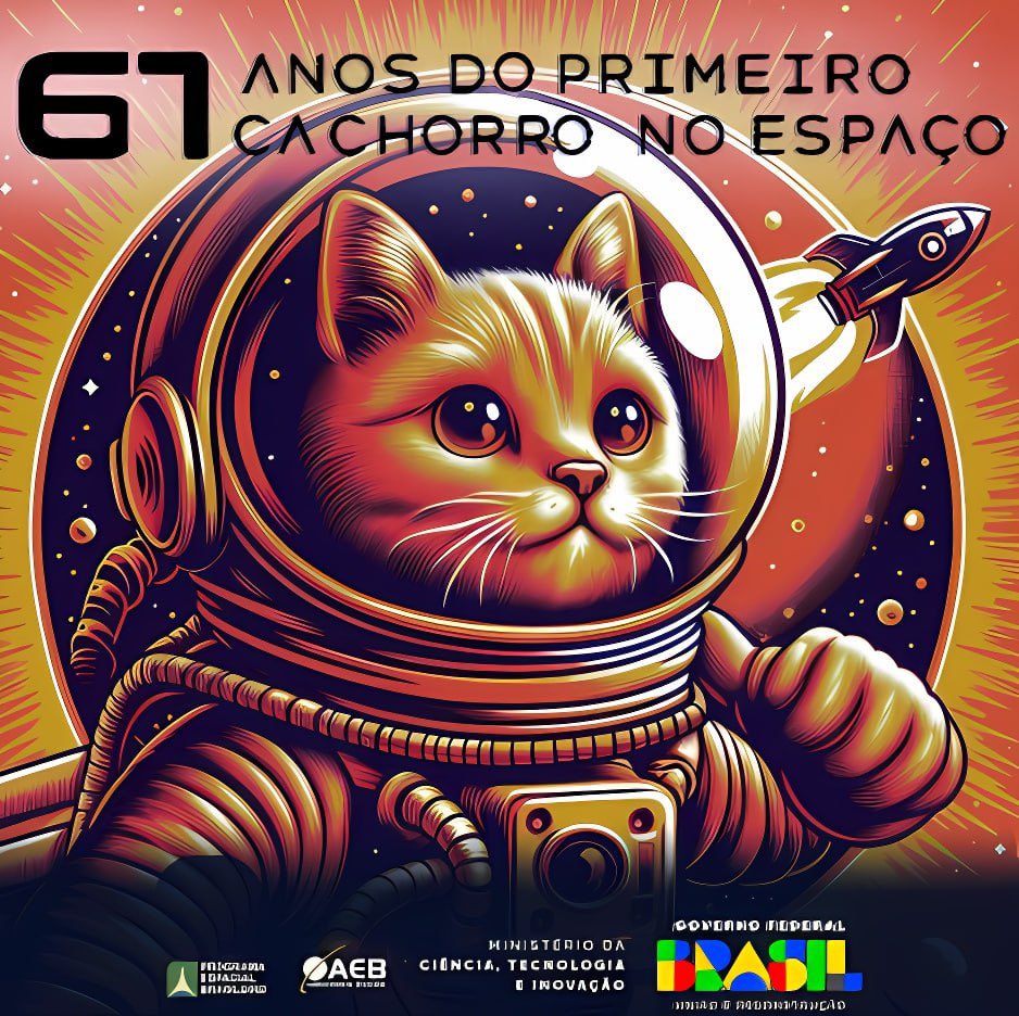 Heroisemais's tweet photo. 🐈‍⬛🚀 https://t.co/HNvUertnBr
