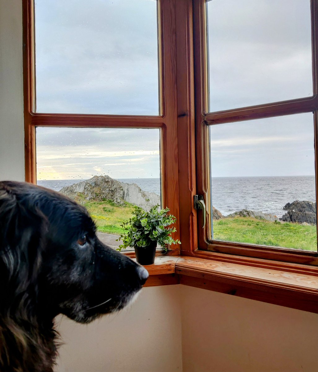 adventurous_moomin tweet media