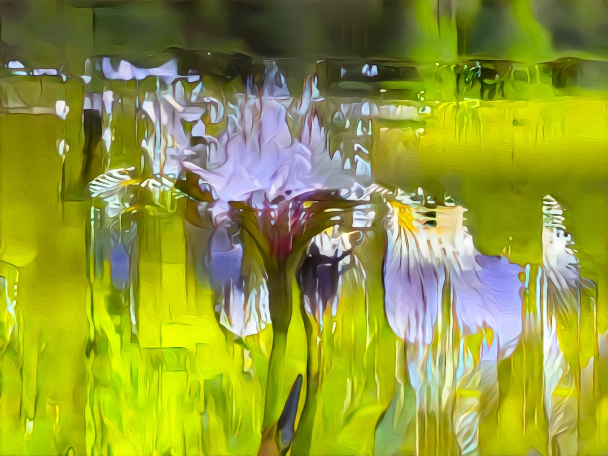 // glitchstroke // tweet media