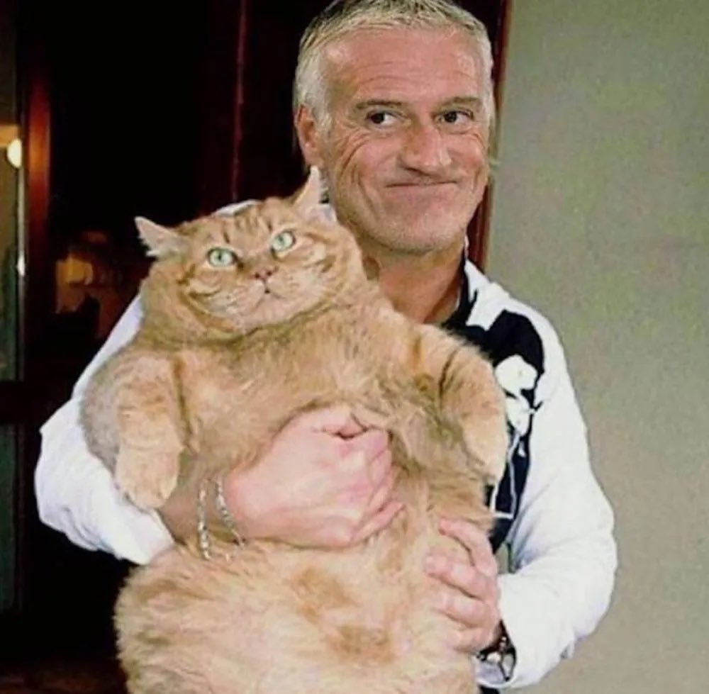 PAISAlexandre's tweet photo. Elle a encore frappé 😂 #FRAAUT https://t.co/I0NS9NYf50