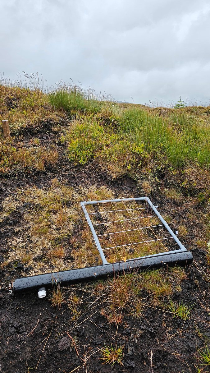 Beth Thomas tweet media