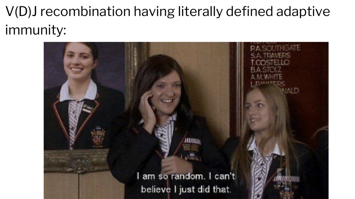 💁‍♀️ it’s nothing  
#mememonday #antibuddiespodcast