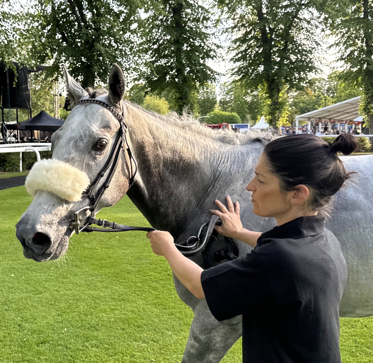 ownersgroupuk's tweet image. Fair runs today from First Folio and Diderot @WindsorRaces. Their owners enjoyed a super evening in the ☀️&amp;amp; were pleased with their runs. Thanks to Marie &amp;amp; Bod for bringing First Folio from N Yorks, &amp;amp; to Steven, Alyson &amp;amp; Chloe for looking after Diderot. Hopefully better to come.