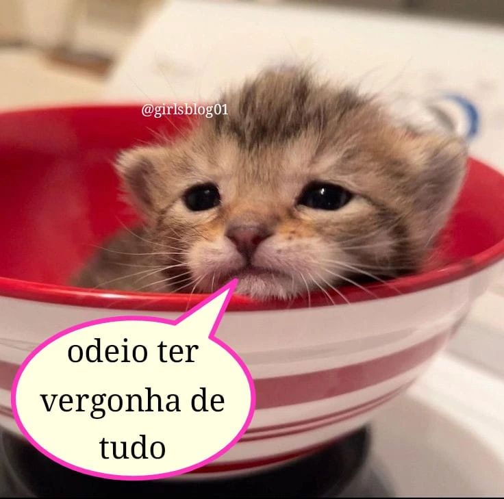 odeiootaco's tweet photo. https://t.co/6t8f7jAtbe