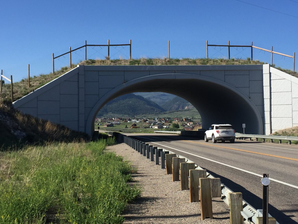 ben_a_goldfarb's tweet photo. A few views of the highly effective wildlife crossings on Highway 9 in Kremmling, CO, which have collectively reduced collisions by more than 90 percent and provided safe passage for deer, elk, moose, and basically every other critter under the sun. #roadecology https://t.co/nIoBwt41sl