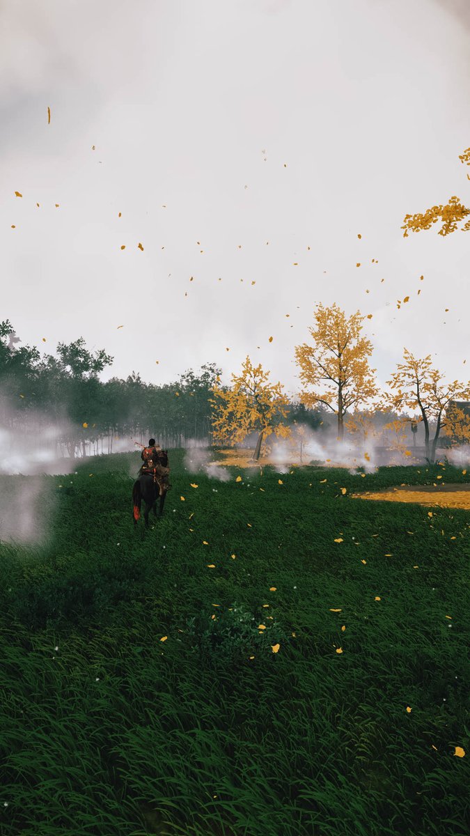 Ghost of Tsushima

#GhostofTsushima #LandscapeMonday #VirtualPhotography