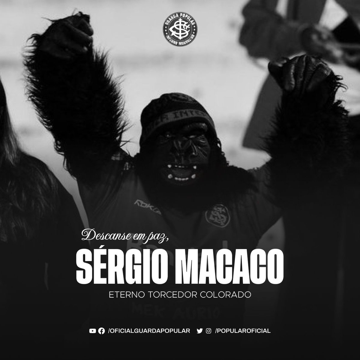 Guarda Popular tweet media