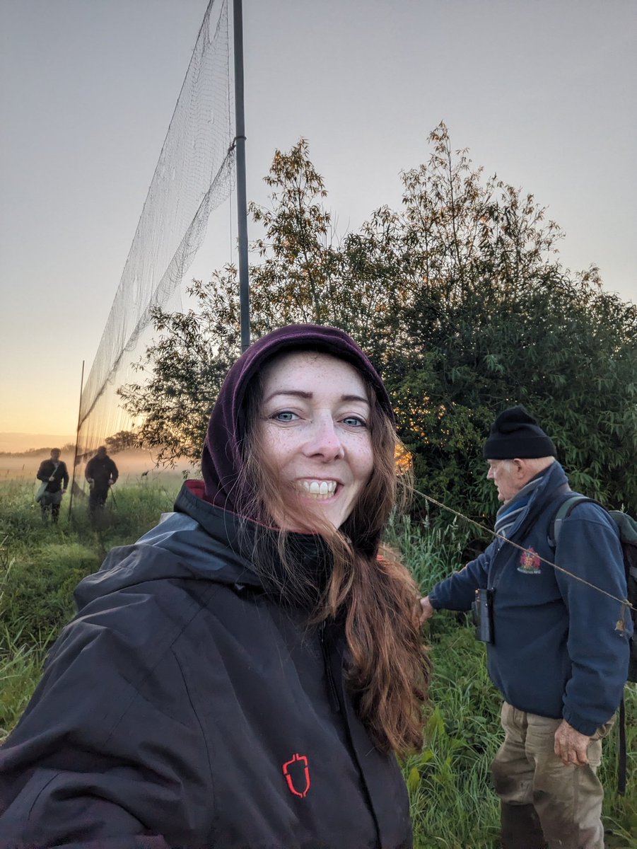 HartpuryUniAnAg's tweet photo. What a busy day for two of our staff today @garrettlucy1 and @AnthonyLowney had an early start to help #bird #ringing on a nature reserve for #constanteffort site #research #redstart #whitethroat #reedbunting #wren https://t.co/A2m2HZWnyf