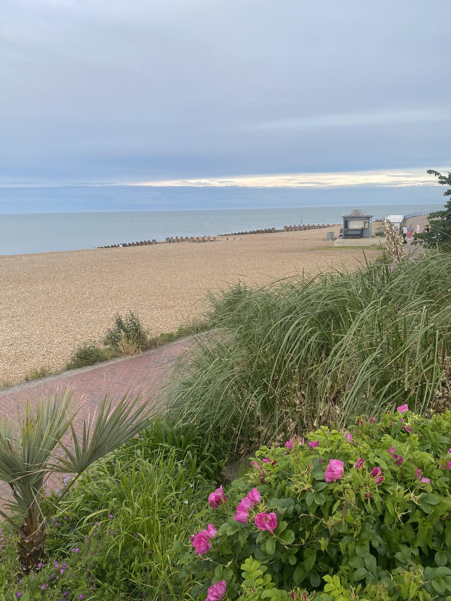 I’m in the beautiful #Eastbourne tonight and staying right next to the tennis courts.

There is even an Iranian food store 😎