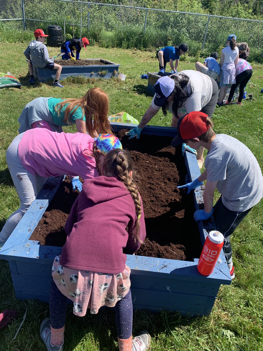 Dig Dig success!! Dirty hands, big smiles and lots of teamwork! Our vegetable boxes are all ready for planting! 🥬🌽🥒 <a href="/AdmiralsAcad_NL/">Admiral’s Academy Navigators 🏳️‍🌈</a>