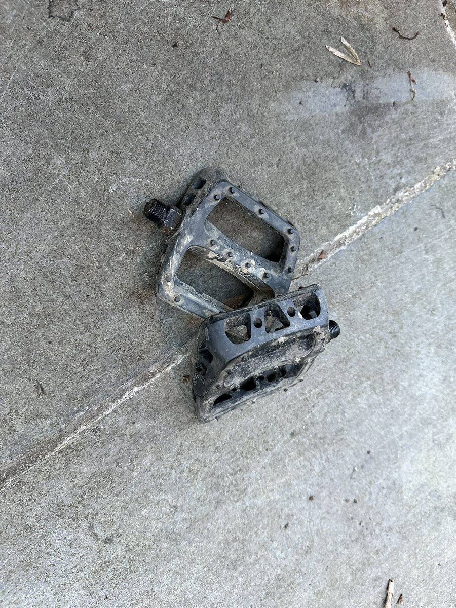 Dan 🐝 tweet media