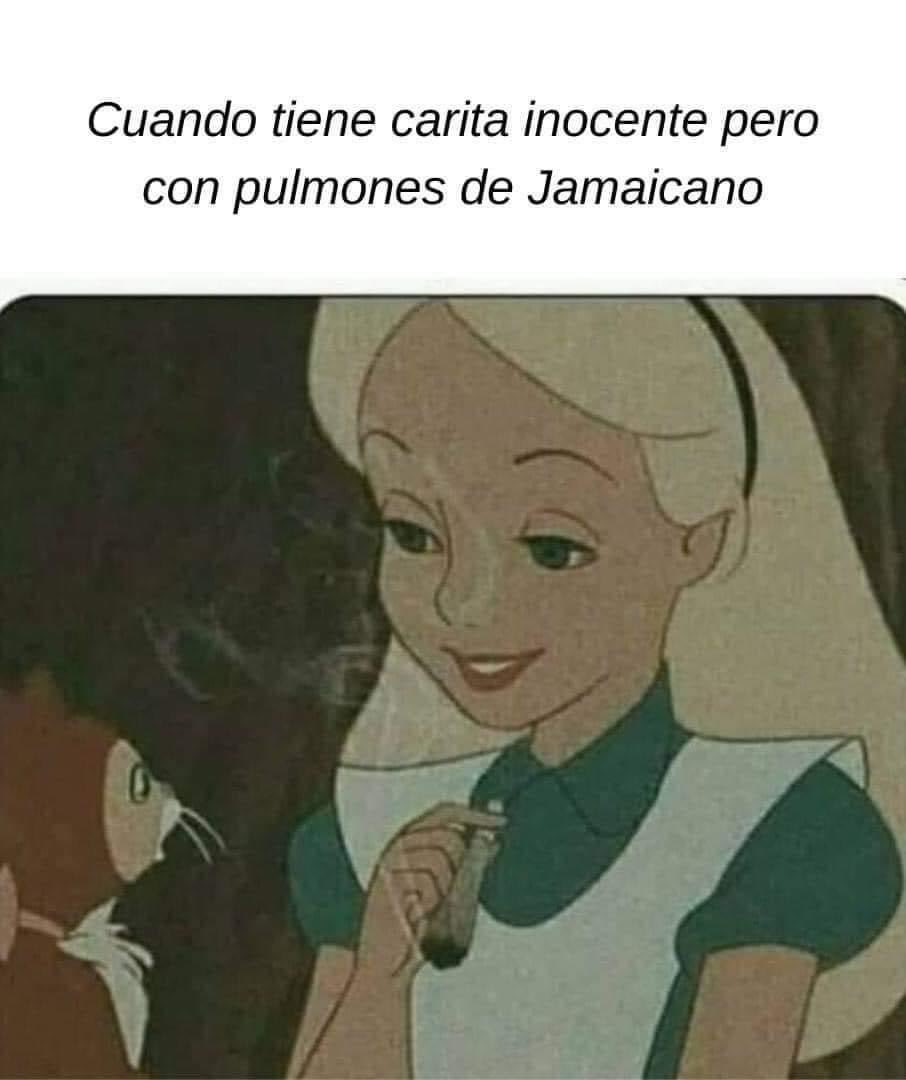 Mariguanillo's tweet photo. Mis amigas: https://t.co/o0jv3wxPQe