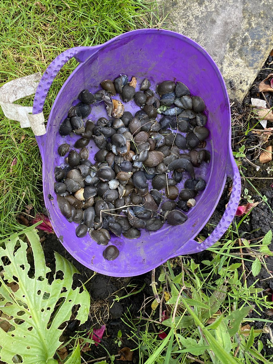 Martin Suckling tweet media