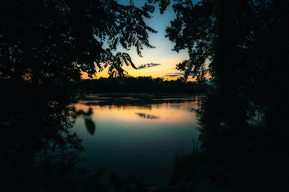 South Carolina Gamecocks tweet media