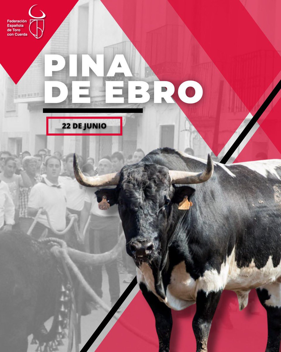 FETorodeCuerda's tweet photo. 🔜 El próximo 𝟮𝟮 𝗱𝗲 𝗷𝘂𝗻𝗶𝗼 la localidad zaragozana de 𝗣𝗶𝗻𝗮 𝗱𝗲 𝗘𝗯𝗿𝗼 celebrará su ᴠɪɪ ᴊᴏʀɴᴀᴅᴀ ᴅᴇ ᴛᴏʀᴏ ᴅᴇ ꜱᴏɢᴀ para conmemorar el 40º Aniversario de la recuperación del toro de soga 

#TorodeCuerda #TorodeVida https://t.co/GJMjbjl4Yx