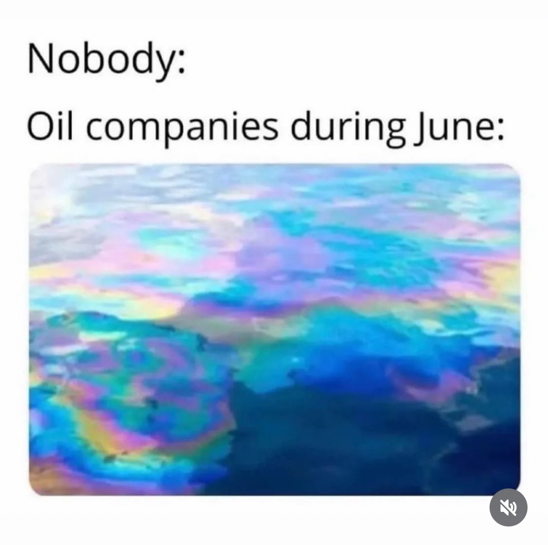 Massachusetts SRA (@sra_mass) on Twitter photo 