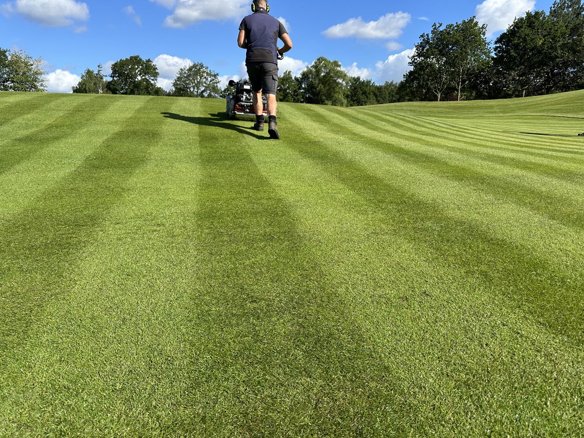 Tom Stidder tweet media