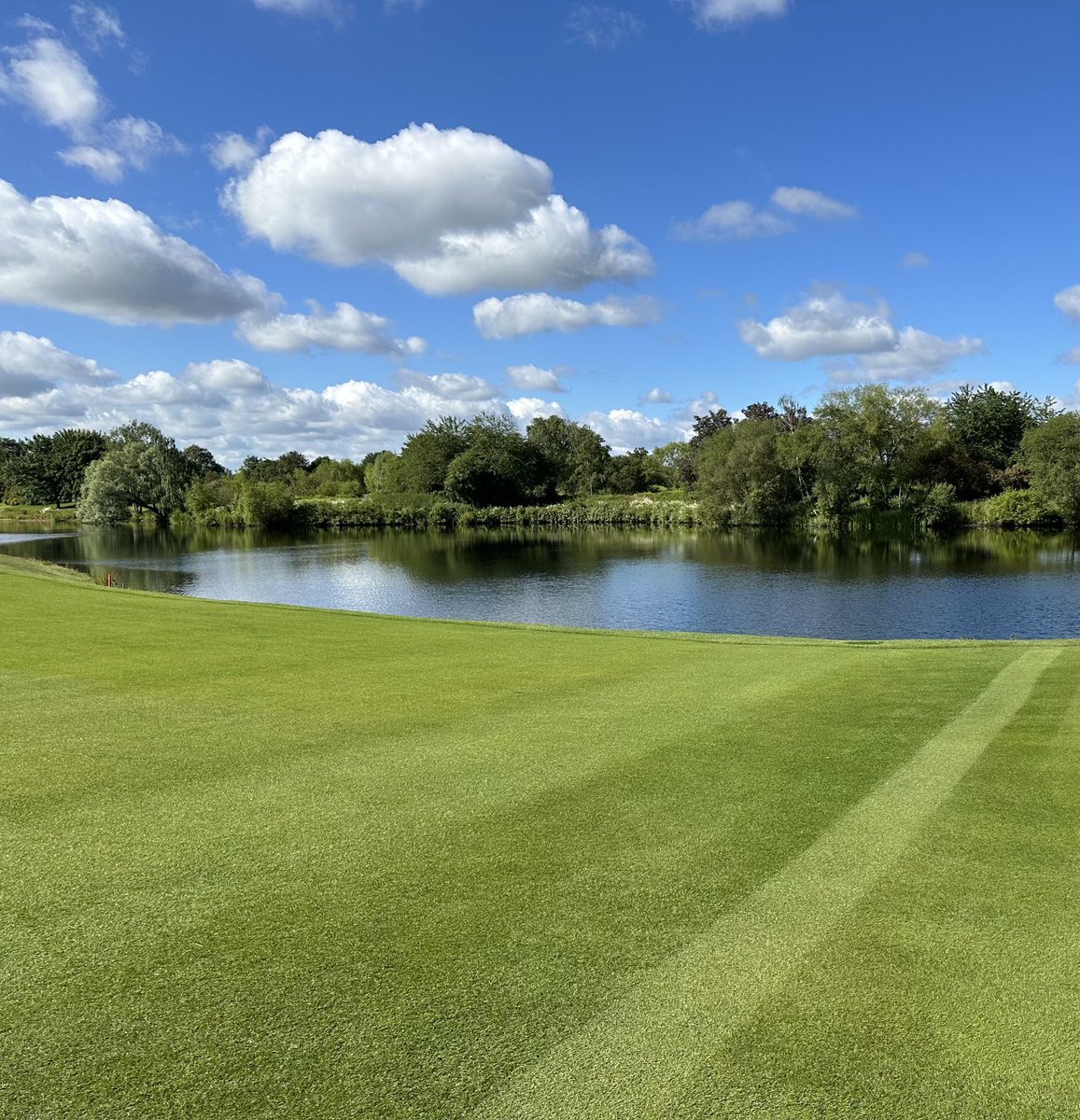 Tom Stidder tweet media