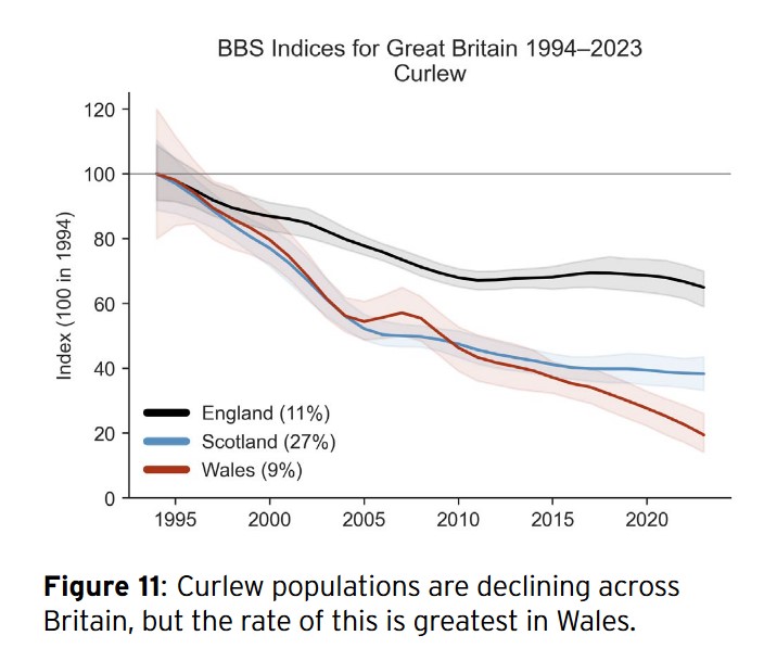 Stuart 🏴 tweet media