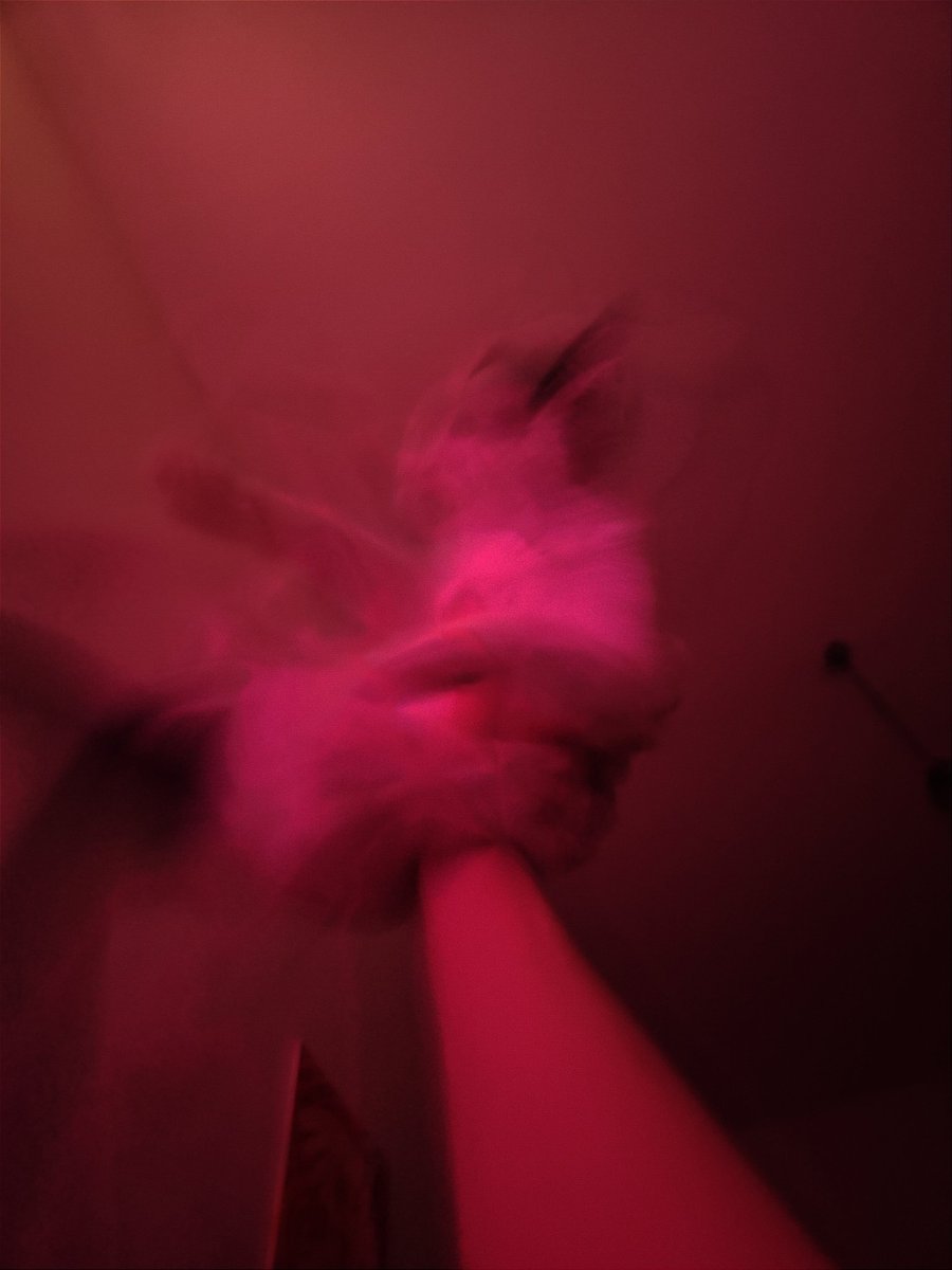 /⁠╲⁠/⁠\⁠╭⁠(⁠•⁠‿⁠•⁠)⁠╮⁠/⁠\⁠╱⁠\ tweet media