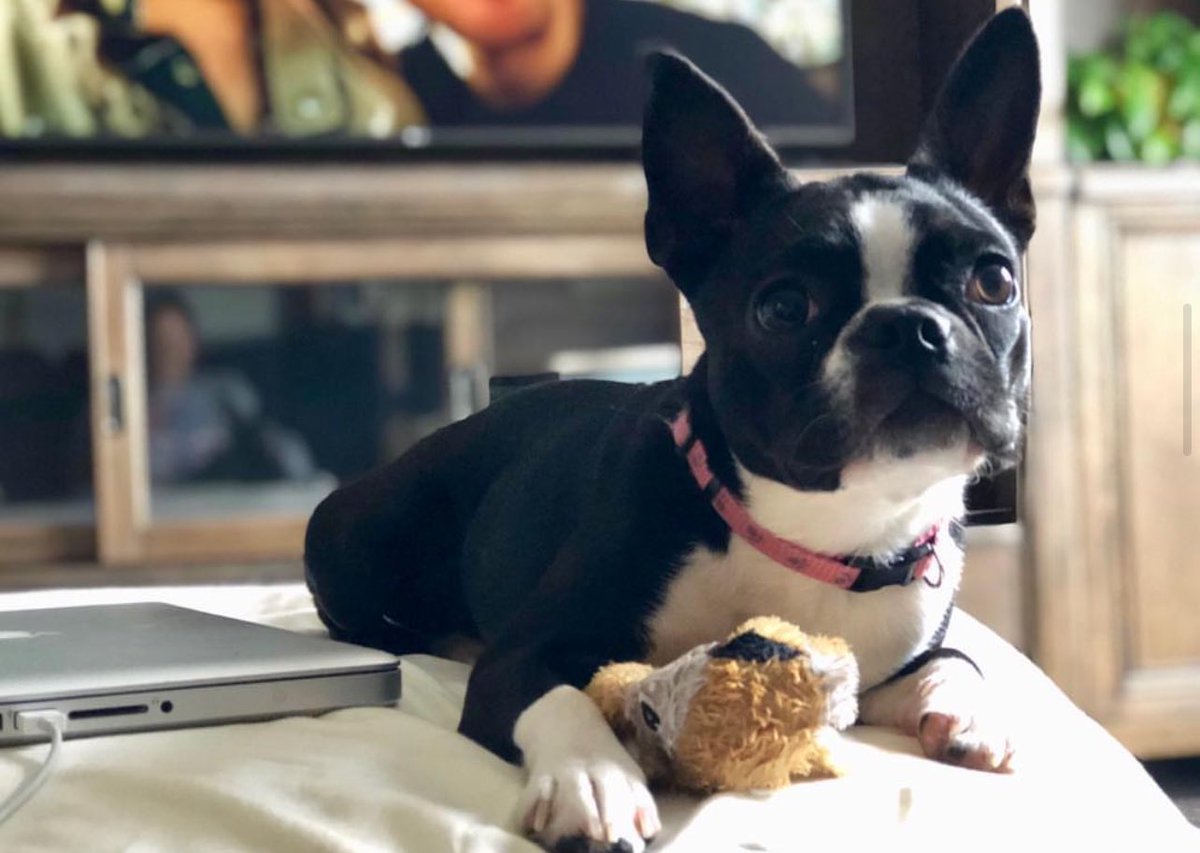 Keep those babies cool. 😎 #summerheatwave