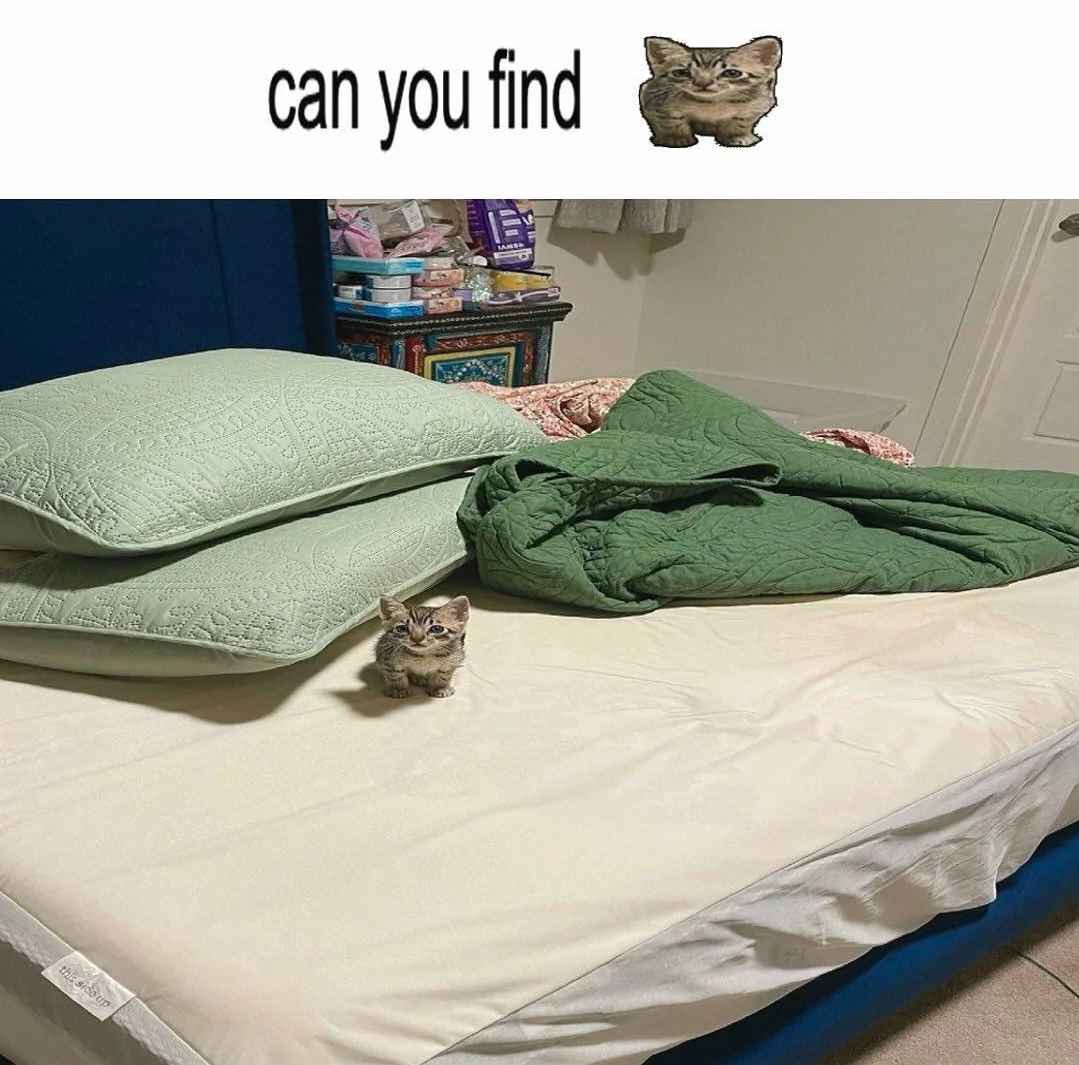 BroPosting_'s tweet image. where is bro