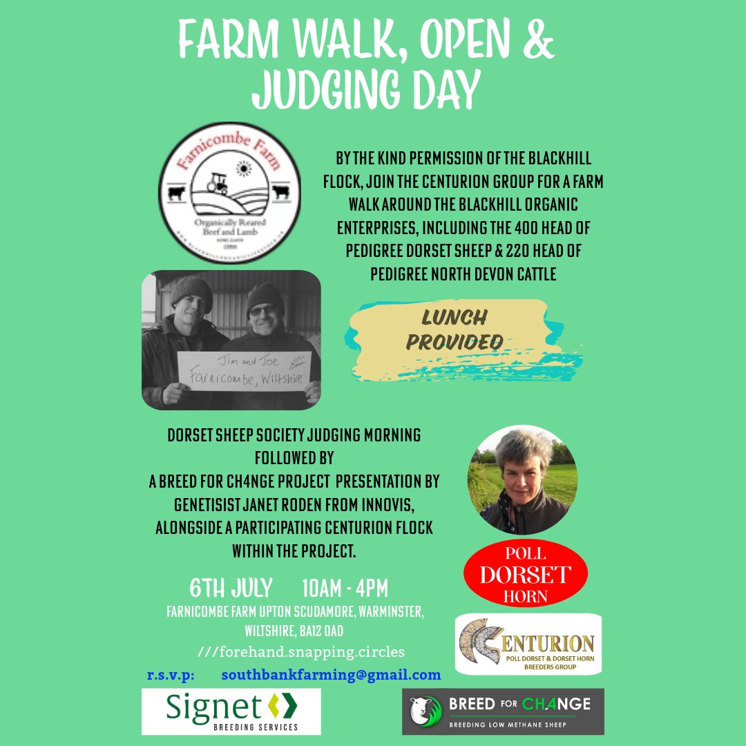 #DorsetSheep #PollDorset #DorsetHorn #FarmOpenDay #FarmEvent #PerformaceRecordedSheep