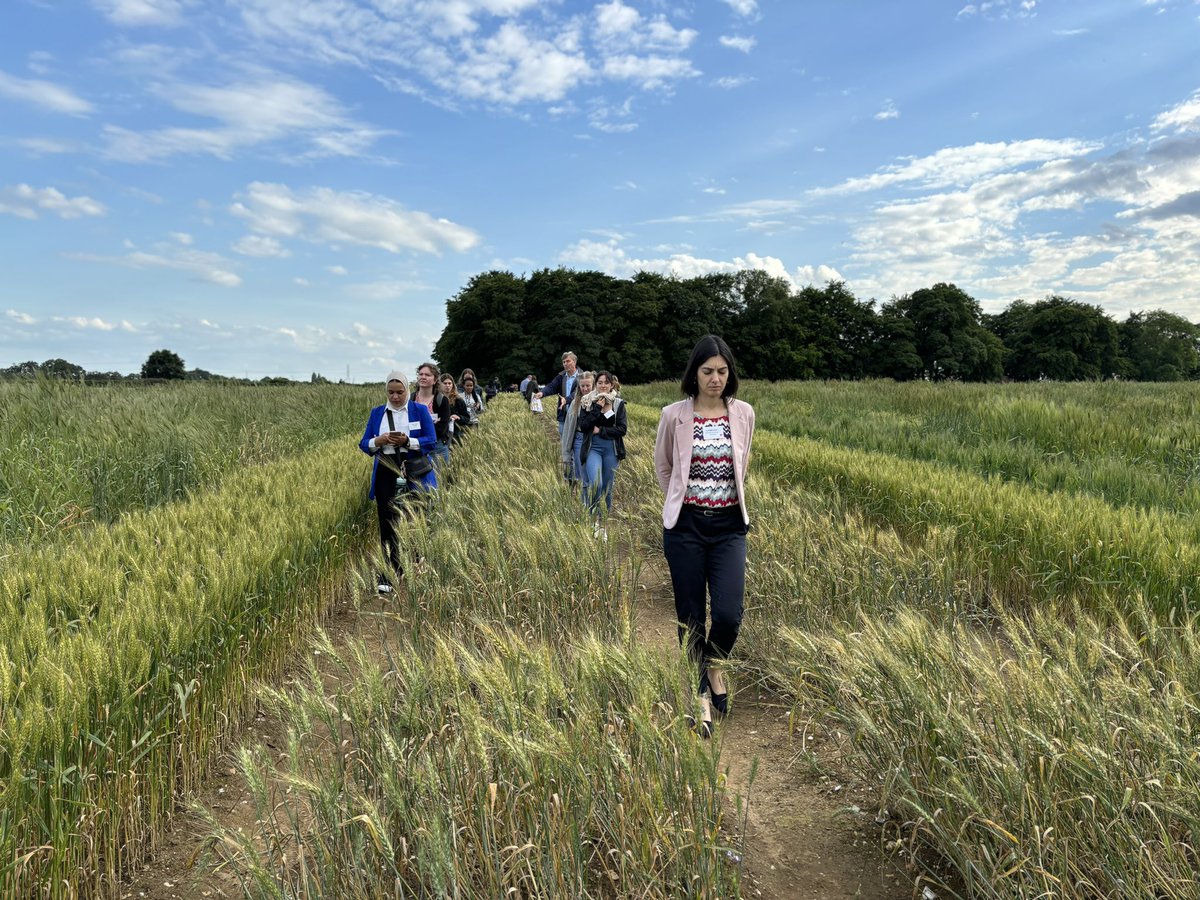 What a brilliant day at the #WomenInWheat event at <a href="/JohnInnesCentre/">John Innes Centre</a>. I have met so many interesting people and we even learnt how to ‘network’ (butt) our way into a conversation at a conference 😅 1/4