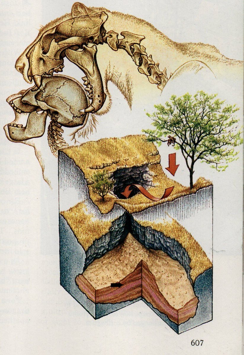 Clipes Animados Vol.4 tweet media